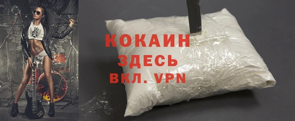 индика Сафоново