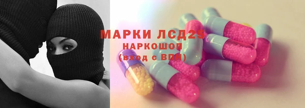 индика Балабаново
