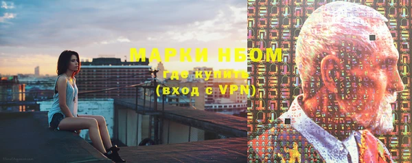 индика Балабаново