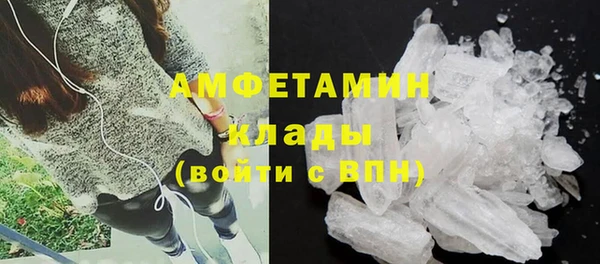 индика Балабаново