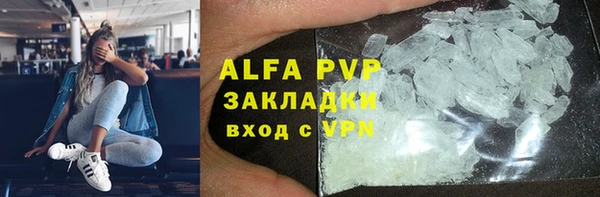 индика Балабаново